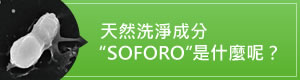 天然洗浄成分ソホロとは？